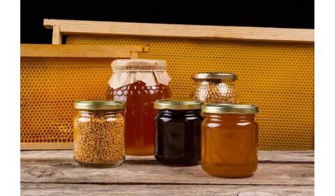 Ece Bal & Arıcılık